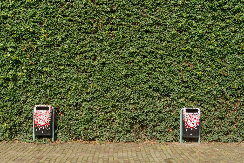 Two black recycling bins with red and white decorative designs placed on a paved sidewalk in front of a dense green hedge wall. The bins are positioned on either side of the image, with metal supports anchoring them to the ground. The bins are open at the top for waste disposal, and the decorative patterns feature swirling shapes and bubbles. The scene is outdoors, with natural lighting, and the background hedge appears lush and well-maintained. These bins are part of a household waste collection setup, possibly related to home relocation or disposal of bulky waste, in a residential area in Thornton Heath. The image suggests an environment where waste separation and disposal are managed efficiently, aligning with services like removals and packing associated with Man with Van Thornton Heath.