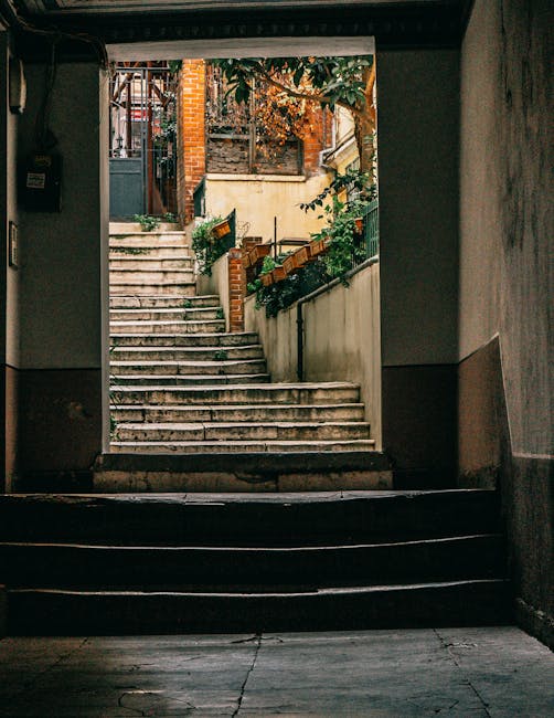 View through a dark underpass or basement doorway onto an exterior staircase made of concrete with visible signs of wear. The staircase leads upward to a residential outdoor area featuring a brick wall, a small garden bed with green plants, and potted flowers, indicating a home environment suitable for house removals or furniture transport. The outdoor scene includes steps ascending to a patio or backyard area, with wooden railings, a small staircase, and a partially visible building with a window and stairs. The lighting contrasts between the dark interior and the brighter outdoor space, highlighting the transition during a home relocation process or packing and moving activities handled by Man with Van Thornton Heath, a professional removal service.
