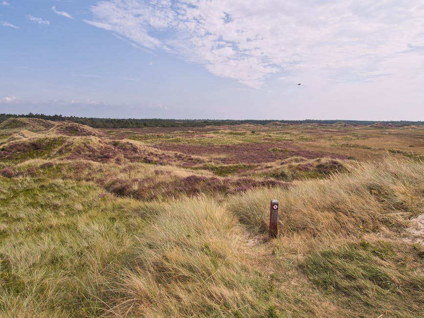 A wide view of a natural moorland landscape featuring rolling grassy hills with patches of purple heather and low shrubs under a partly cloudy sky with some wispy clouds. In the foreground, there are tall, yellowish-green grasses and a narrow dirt pathway leading into the distance. A small wooden marker post with a white arrow is situated near the trail, indicating a designated route or boundary. The scene is open and rural, typical of outdoor locations where house removals and furniture transport might occur during a home relocation process, with no buildings or vehicles visible in the image.